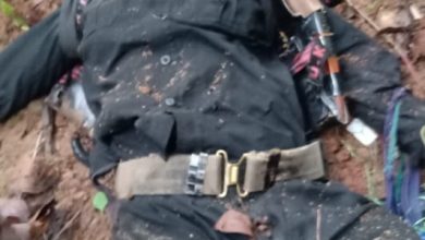 Two Naxalites killed in an encounter