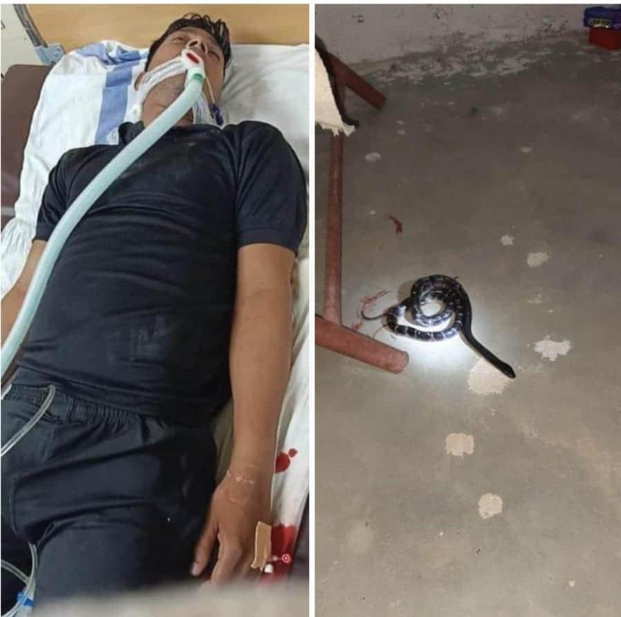 CRPF 229 battalion jawan arrived from leave, snake bites in Corotines center, condition serious