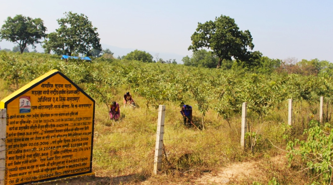 Silk production will be on a large scale, many families will get permanent employment
