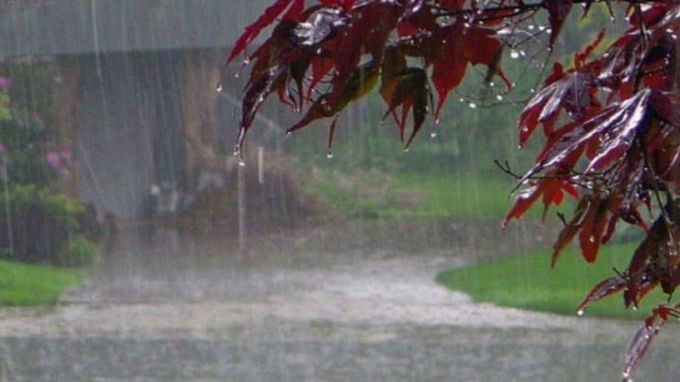 Mausam Department warns of heavy rain
