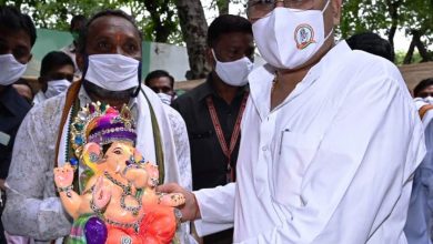 Permission granted by Chief Minister to sell statues up to four feet for Ganesh festival